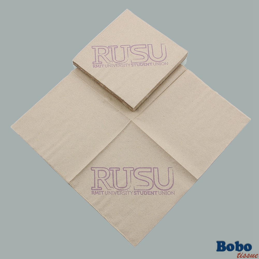 Post-consumer Recycled Napkin